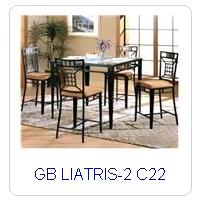 GB LIATRIS-2 C22
